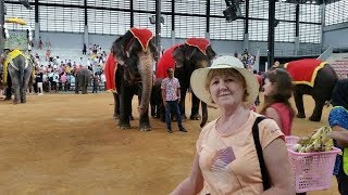 Шоу слонов в парке Нонг Нуч. Шоу слонов в парке Нонг Нуч.