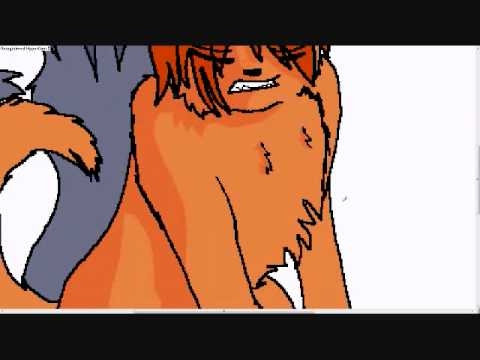 Warrior Cats Firestar And Bluestar Warrior Cats Firestar And Bluestar