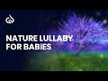 Music for Infant to Sleep: Nature Sleep Sounds, Nature Lullaby