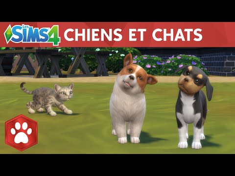 Les Sims 4 Sortie De Lextension Chiens Et Chats Pour Pc