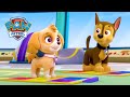 Zajęcia Taneczne Psi Patrol PAW Patrol Po Polsku 