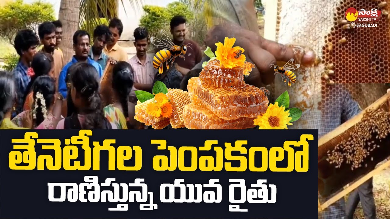 Farmer Ramesh Goud Success Story | Honey Bee Farming In Telugu ...
