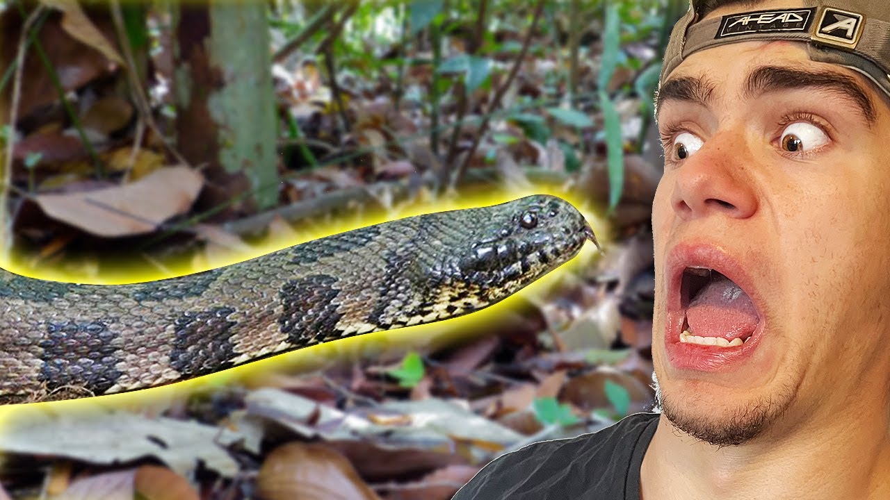 Brown Water Snake BITES ME