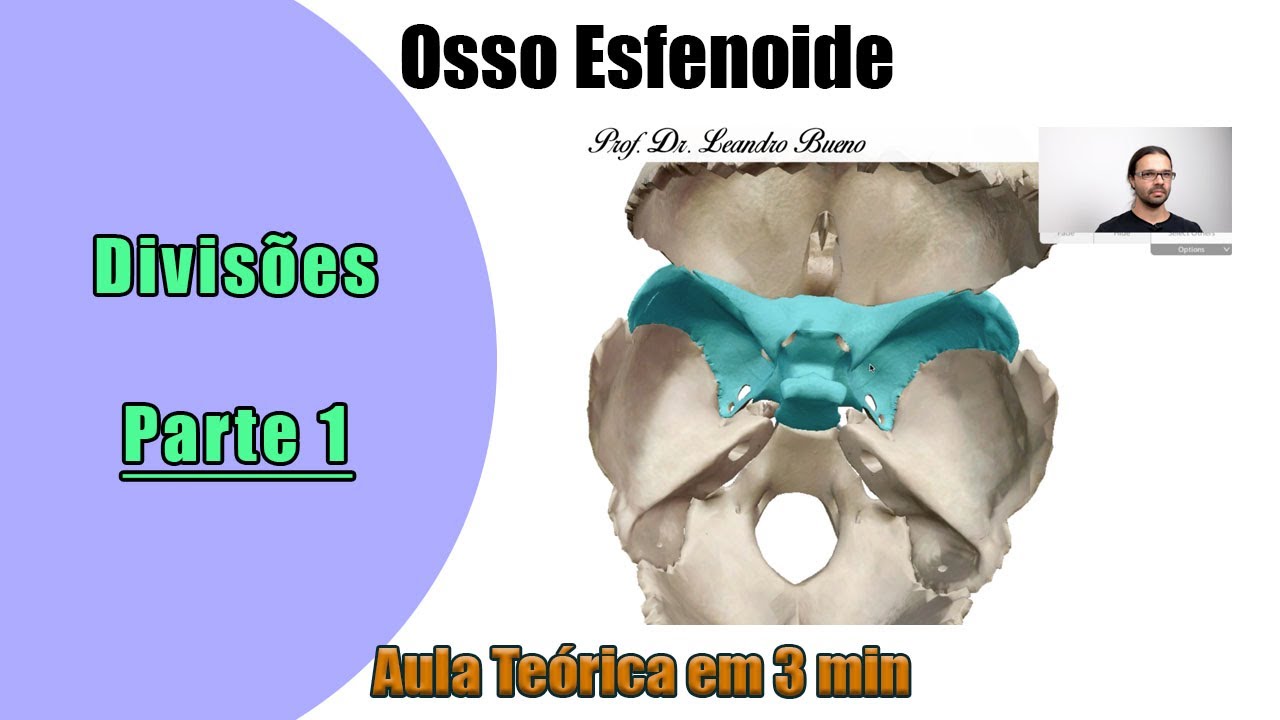 Osso Esfenoide - Aula Teórica - Anatomia - Anatomia Humana