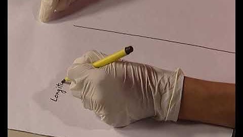 Dissection of flower