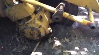 Removing termite infested trees and grinding