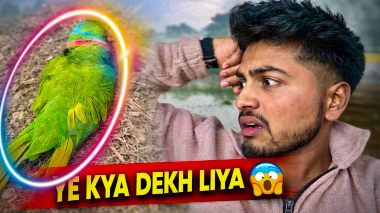 Subah Pokhra Gaye Machhli Dekhne | Khet Mein Dekha Mara Hua Tota 😱