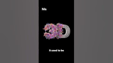 You NEED To Know This Video Style In 2024!