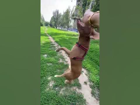 youtube.com