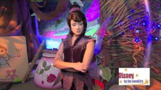 Pixie Hollow's Newest Resident - Vidia