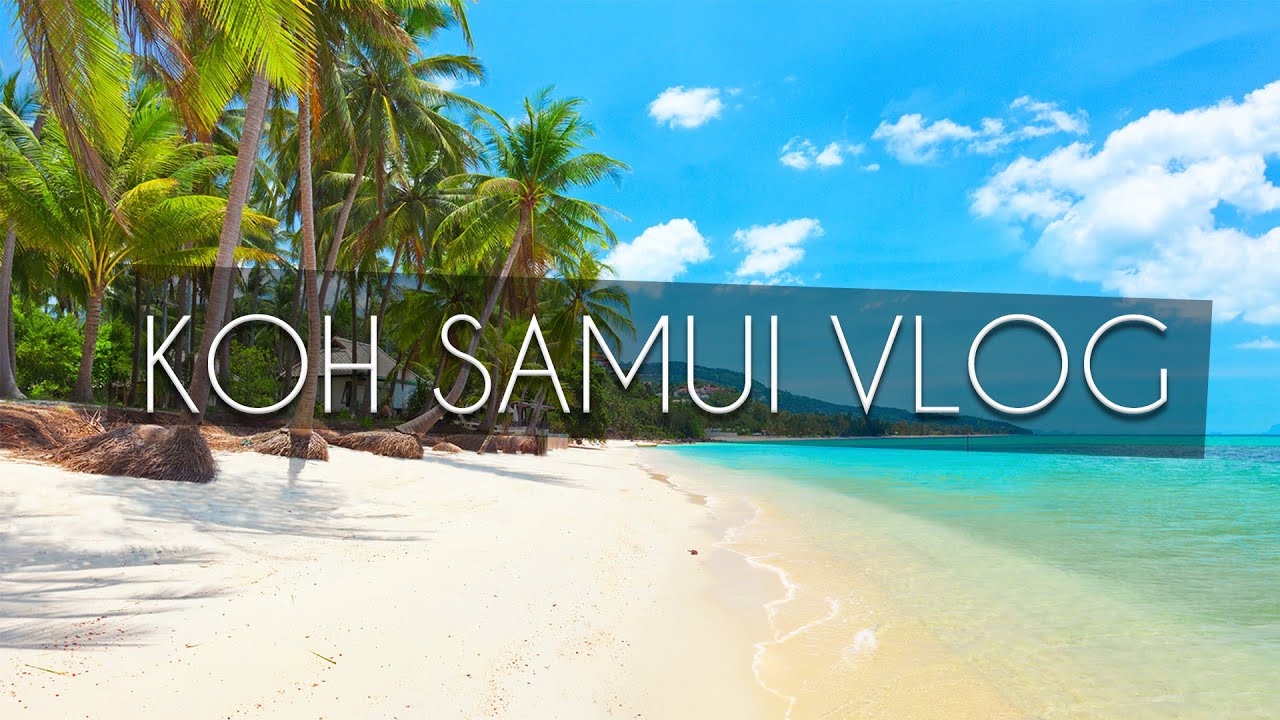 IDM Koh Samui VLOG - Lachlan Cameron