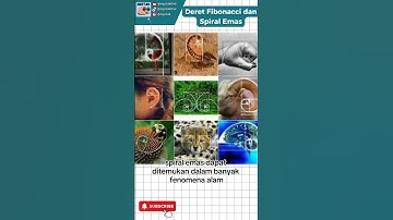 Misteri Angka: Deret Fibonacci dan Keindahan Spiral Emas  #ngotak #shorts #faktaunik