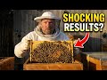 🐝 Checking On the Hives: The Results Shocked Me