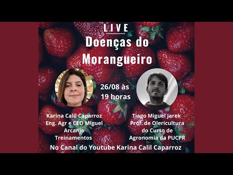 Vídeo: Doenças Do Morango - Antracnose E Outras