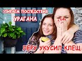 VLOG Уборка после урагана Дориан | Лера напугала | Я в шоке | Макар не хочет говорить