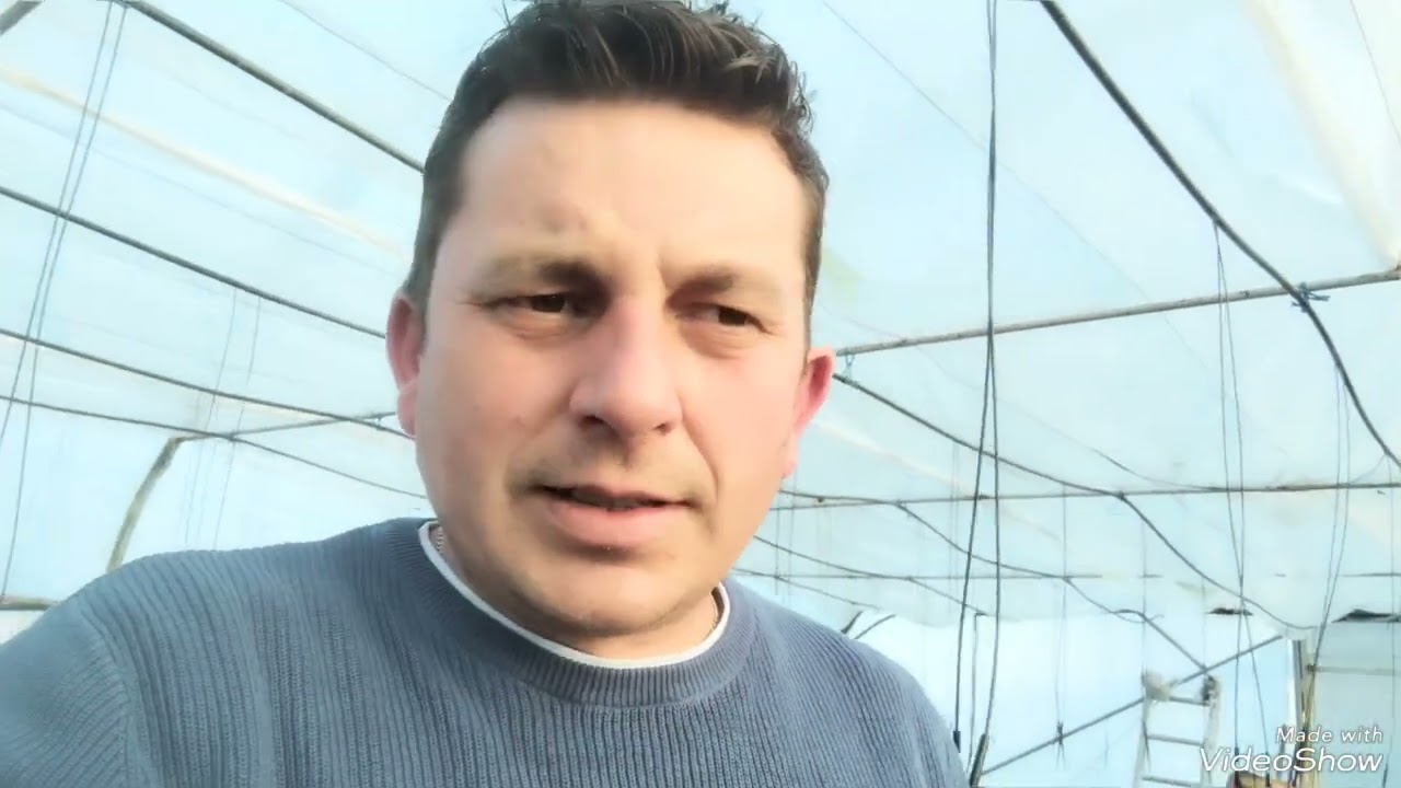 Produsul minune pentru producția de răsaduri! 😃😃