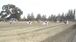 Spring Down Compulsory Run at the 2013 Coto Cup