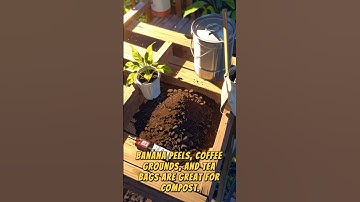 Compost Ingredients You Already Have at  🏡