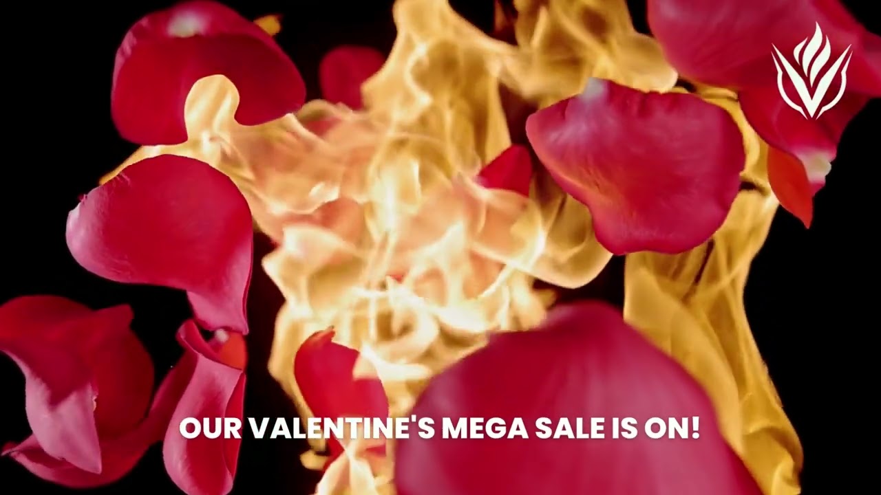 Vigor Labs Mega Valentine's Sale 2022