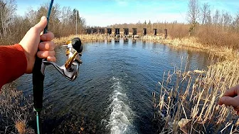 LAST SPOT SUCCESS!! - Open Water 2025