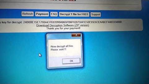 Cryptowall Virus Malware Complete Tutorial Guide part 15 of 17