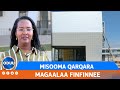 MISOOMA QARQARA MAGAALAA FINFINNEE 