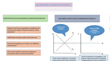 ¿Cuáles son los 6 modelos de mercado?