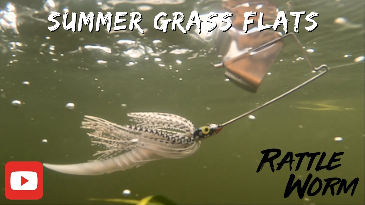 Fishing  Summer Grass Flats for  Big Bass!