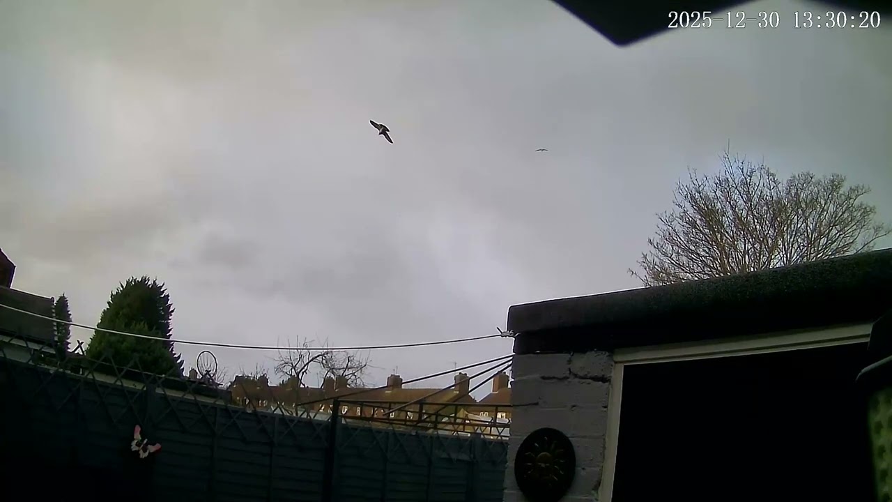 (30/12/2025) 13:27pm HULL (Uk) SKY [0379]