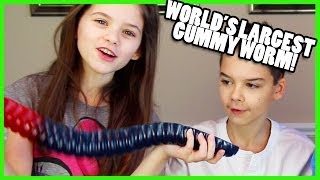 The World's Largest Gummy Worm! | KittiesMama