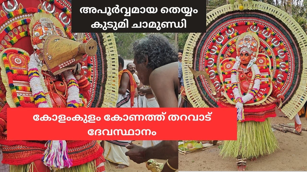 അപൂർവമായി കണ്ടുവരുന്ന തെയ്യം - കുടുമി ചാമുണ്ഡി |Kudumi Chamundi Theyyam| 