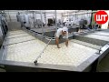 How fresh mozzarella is made  the process of making cheese from buffalo milk  cheese factory