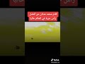 ماذا قال محمد عدنان عن مجنون ايرلينغ هالاند