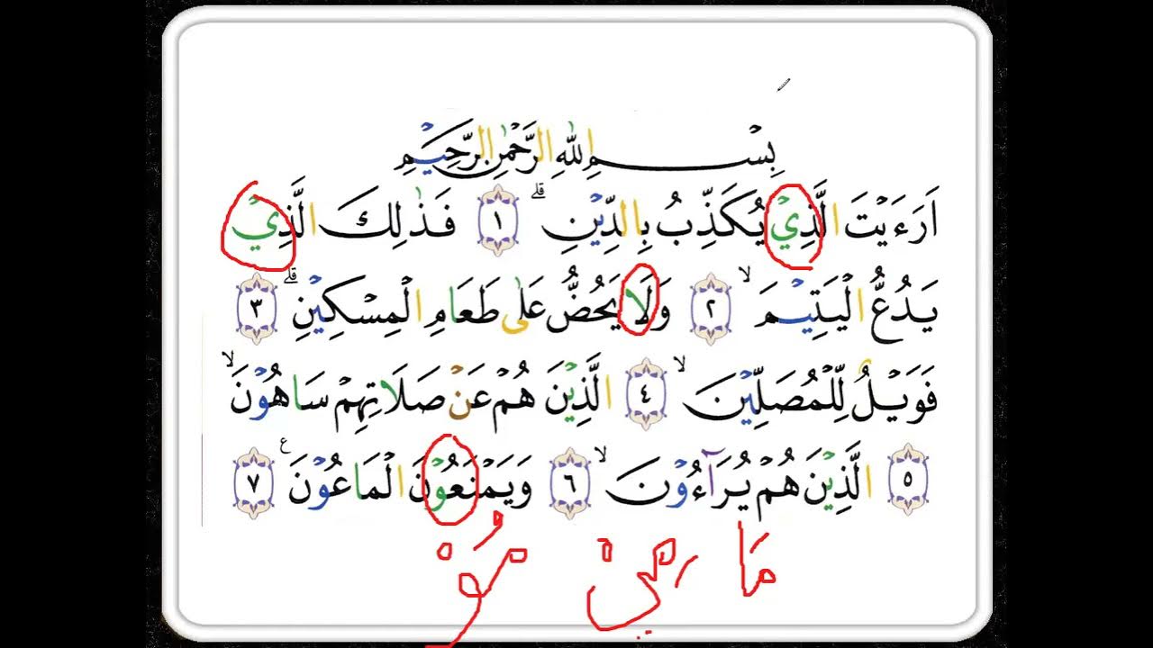 Moynali mushuk bilan porno Vaginal süpozituarlardan togri foydalanish