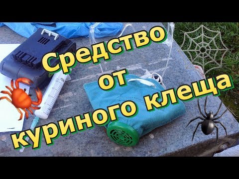 Средство от куриного клеща &#55358;&#56704; / Борьба продолжается &#55358;&#56636;‍♀️ / Видео не для всех &#55357;&#56904;