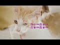 CAT'N'ROLL（キャットンロール）　ついなちゃん＆花隈千冬（Remix）