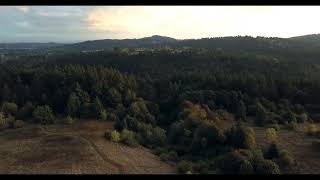 Ischitho Sibuyela Kumnikazi Izitha Ziyahlakazeka Abathandanayo Bayahlukana