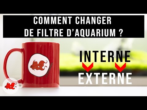 Vidéo: Comment passer de votre ancien filtre d'aquarium au nouveau