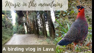 A birding vlog in Lava and Rishop.