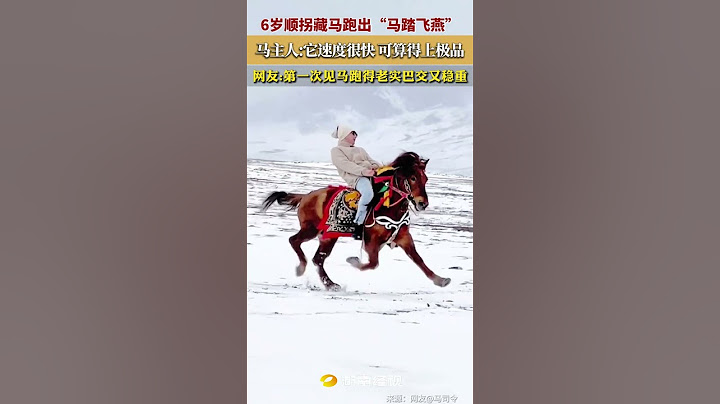 6岁顺拐藏马跑出“马踏飞燕”！ 马主人:它速度很快 可算得上极品！网友:第一次见马跑得老实巴交又稳重@马司令 看似乱七八糟，实际一骑绝尘！#策马奔腾 #顺拐马 #甘孜 #顺拐 #高原上的神奇动物们
