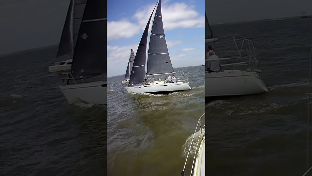 2024 Peanut Regatta No. 15 #shorts #water #sailing #racing #texas #boat #wind #retirement