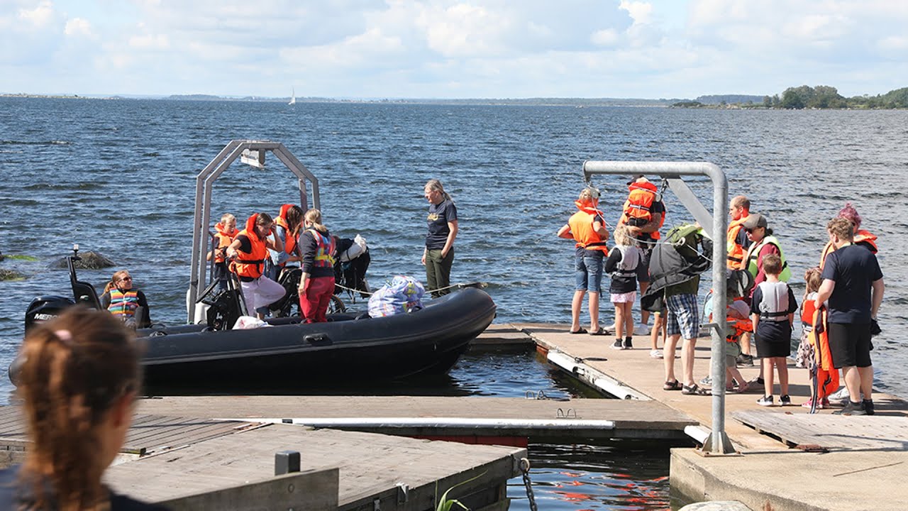 Wilhelm Foundation's video with photos to celebrate 2024