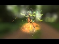 Nightingale  canary  bird sounds visualized by andy thomas