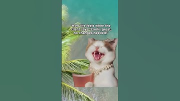 client changes meme.mp4