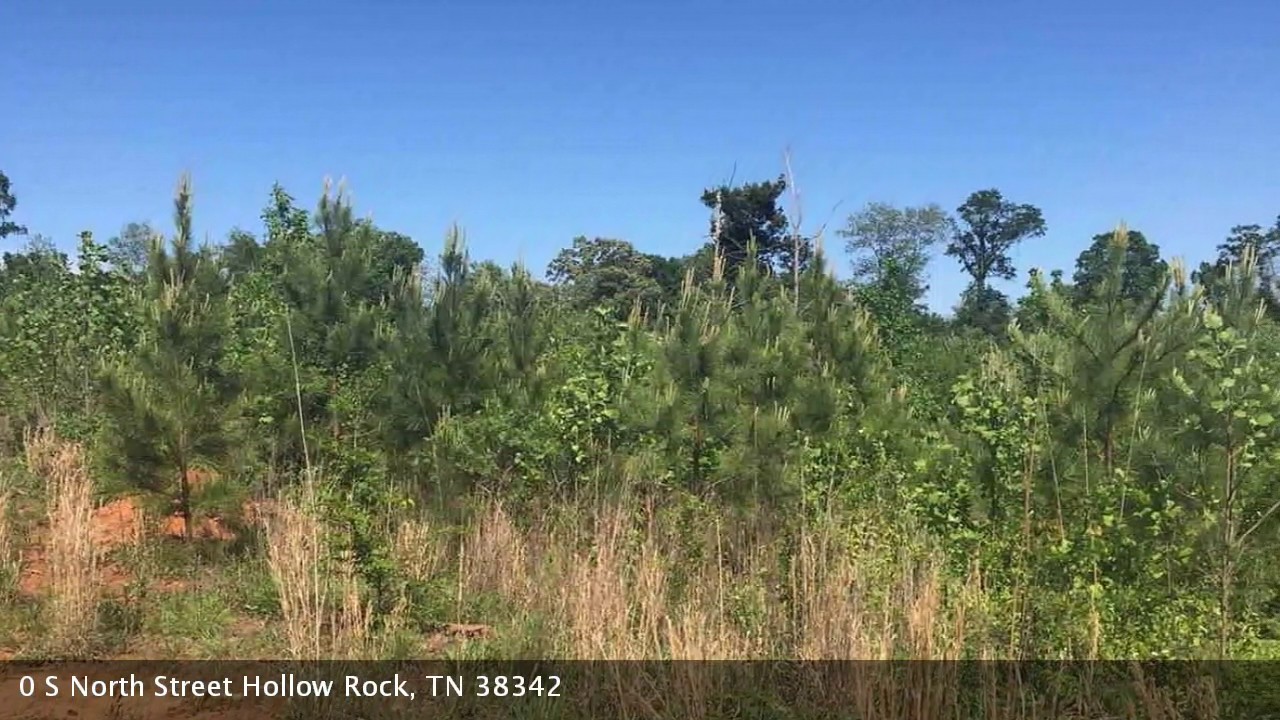 Real estate for sale in Hollow Rock Tennessee MLS 173545 YouTube