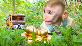 Baby monkey and golden egg treasure with dinosaur