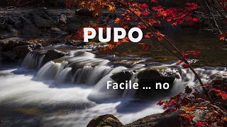 Pupo "Facile ... no"