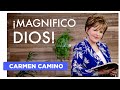 ¡MAGNIFICO DIOS!   Salmo 8