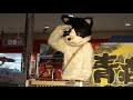 むぎ(猫)曲:夢から覚めた夢 イオン南風原(青森県フェアー)