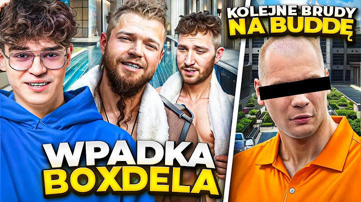 BOXDEL WYGADAŁ SIĘ WARDĘDZE? (MRBEAST, HONEY SCAM, WARDĘGA, MAGNUS, BUDDA)